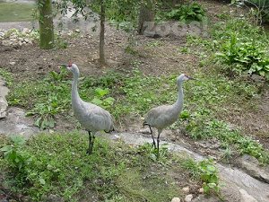 Elmwood Park Zoo scene